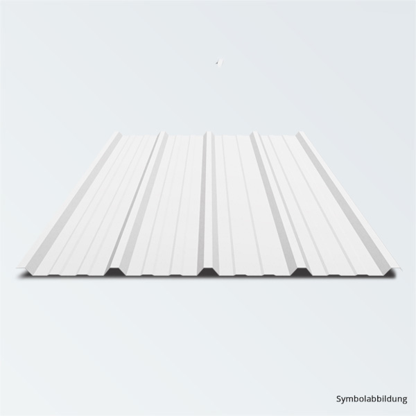 TRAPEZBLECH PROFIL 25/267 WEISSGRAU 2,50M